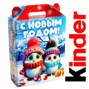 Детский подарок на Новый Год в жестяной упаковке весом 830 грамм по цене 3297 руб в Заволжье